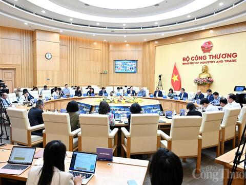 Thị trường EU: Tận dụng 'cửa sổ vàng' từ EVFTA để tăng tốc xuất khẩu