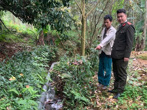 Xử phạt hơn 100 triệu đồng chủ trang trại lợn gây ô nhiễm ở Phú Thọ