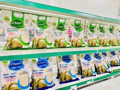 Xây dựng thương hiệu, 'mảnh ghép' nâng giá trị hạt gạo Gia Lai