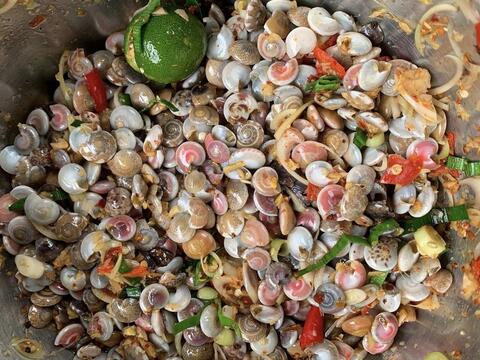 Đà Nẵng: Ốc lễ được giá, ngư dân tất bật từ sớm