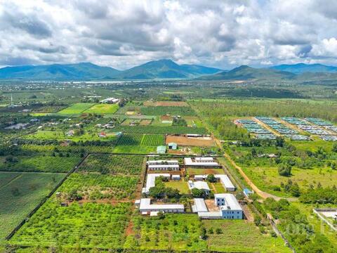 Gia Lai phát triển vùng nguyên liệu tỷ đô cho nông sản chủ lực