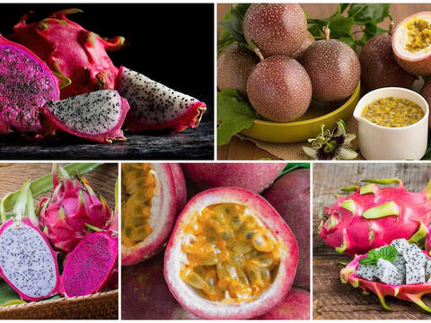 EU siết kiểm soát dư lượng thuốc bảo vệ thực vật với chanh leo, thanh long