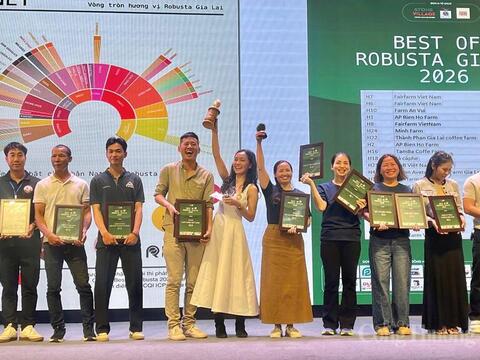 Nâng tầm giá trị cà phê Robusta Gia Lai