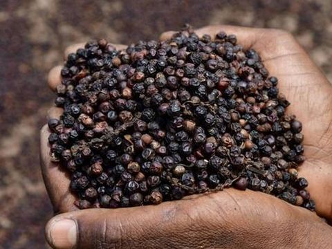 Xuất khẩu nông sản cần chủ động trong 'luật chơi' MRL