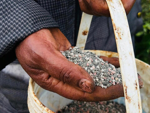 Căng thẳng ở Trung Đông đẩy giá lương thực toàn cầu tăng cao