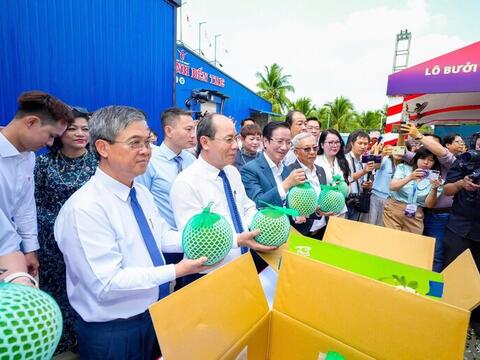 Lô bưởi đầu tiên sang Australia, gia tăng dư địa xuất khẩu rau quả