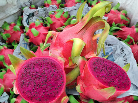 Giá nông sản hôm nay 16/4/2026: Nhiều mặt hàng biến động mạnh