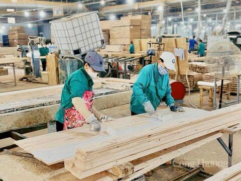 Gia Lai 'chọn mặt gửi vàng', kiến tạo lực lượng doanh nghiệp dẫn dắt