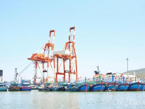 Gia Lai: Bảo vệ, tái tạo nguồn lợi thủy sản