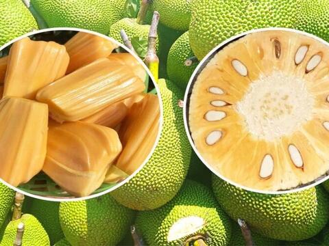 Giá nông sản hôm nay, ngày 24/4: Tăng, giảm trái chiều