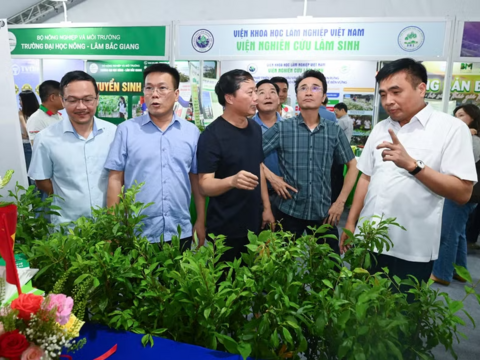 Lai Châu hướng tới chuỗi giá trị nông nghiệp xanh, bền vững