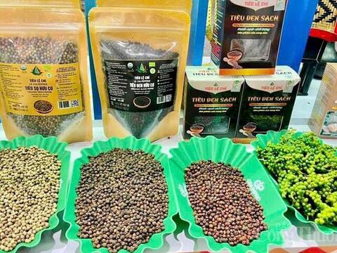 Giá tiêu hôm nay 12/5/2026: Duy trì ổn định từ 141.000-144.000 đồng/kg