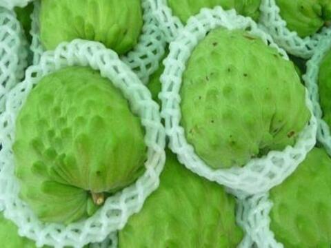 Giá nông sản hôm nay ngày 12/5: Nhiều mặt hàng giữ giá cao