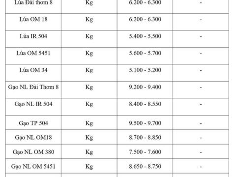 Giá lúa gạo hôm nay ngày 13/5/2026: Lúa tươi tăng nhẹ