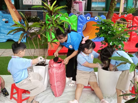 Trẻ mầm non trồng cây mừng sinh nhật Bác Hồ và chuẩn bị hành trang vào lớp Một