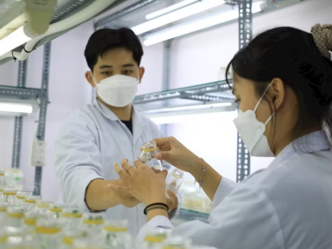 Chuẩn nghề nghiệp giảng viên, giáo viên sơ cấp, trung cấp: Từ tiêu chí đến động lực phát triển