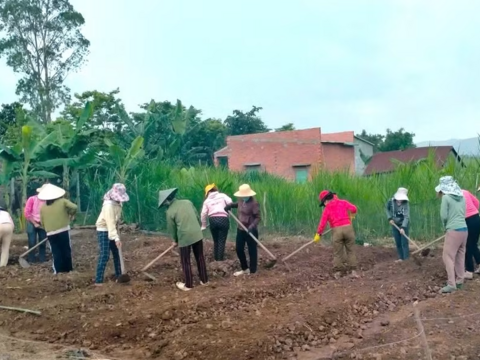 Đào tạo nghề gắn sinh kế, giữ chân lao động trẻ ở nông thôn Gia Lai