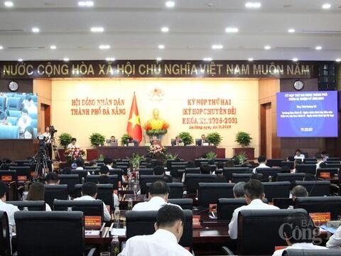 Đà Nẵng chi trăm tỷ để phát triển sâm Ngọc Linh và dược liệu