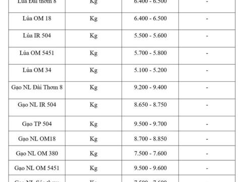 Giá lúa gạo hôm nay ngày 4/6/2026: Gạo thơm Jasmine tăng 1.000 đồng/kg
