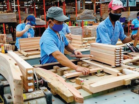 Dùng gỗ để giữ rừng: Đã đến lúc thay đổi tư duy về vật liệu xanh