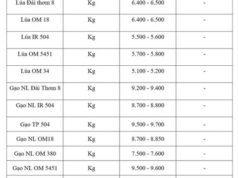 Giá lúa gạo hôm nay ngày 10/6/2026: Gạo xuất khẩu biến động
