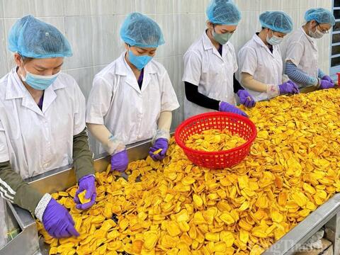 Đồng Tháp: Đặt mục tiêu có 1.352 sản phẩm OCOP vào năm 2030