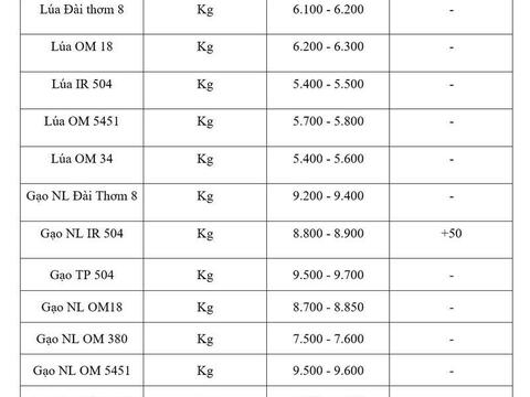 Giá lúa gạo hôm nay ngày 3/7/2026: Gạo xuất khẩu đồng loạt tăng