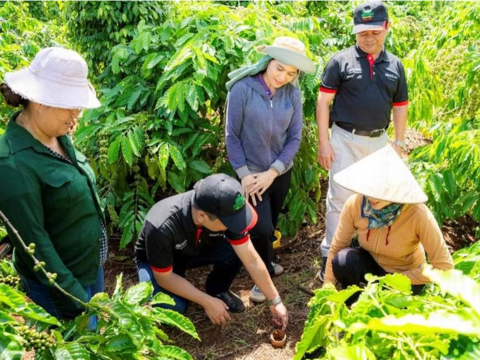 Nông nghiệp tái sinh giúp cà phê Việt vượt “rào cản xanh”