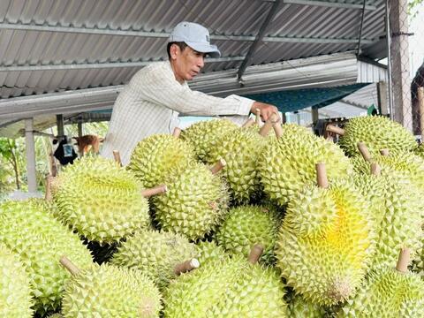 Sắp diễn ra Hội thảo Sầu riêng châu Á lần thứ 2