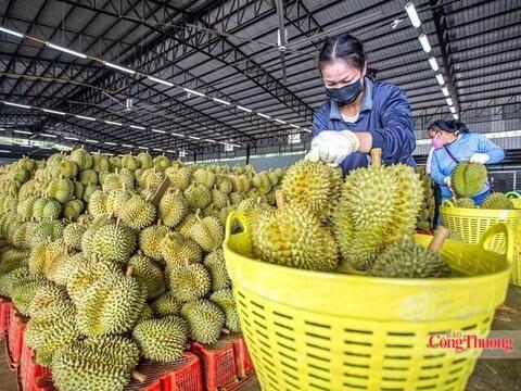 Nhiều thị trường điều chỉnh SPS, nông sản xuất khẩu cần lưu ý gì?