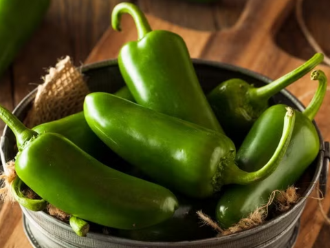 Lý do Taylor Farms của Mỹ thu hồi các sản phẩm chứa ớt jalapeno