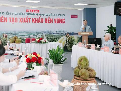 Sầu riêng trước yêu cầu chuyển từ 'lượng' sang 'chất'