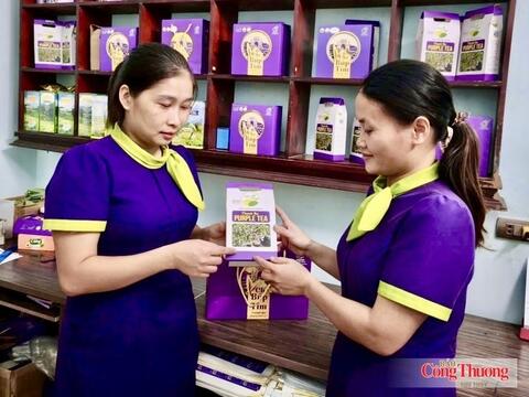 Liên kết chuỗi, xây dựng thương hiệu nâng tầm giá trị chè đất Tổ