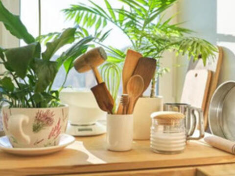 5 thứ trong nhà dễ gây bệnh bỏ ngay đừng tiếc