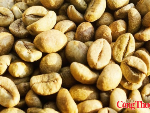 Nguồn cung cải thiện, giá cà phê thế giới giảm phiên thứ ba liên tiếp