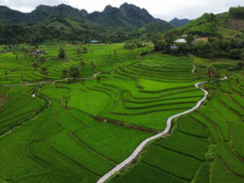 Mở thêm cơ hội giáo dục cho trẻ em Bản Tèn