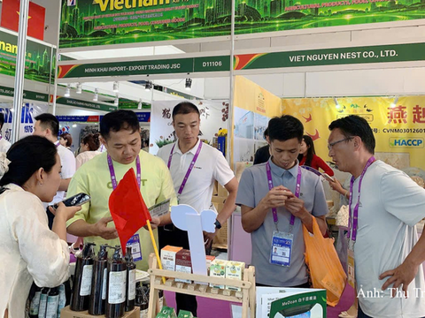Doanh nghiệp Đà Nẵng tìm cơ hội xuất khẩu tại Hội chợ Trung Quốc–ASEAN