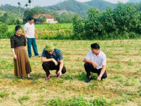 Tạo nền tảng giảm nghèo bền vững ở xã vùng biên ở Hà Tĩnh