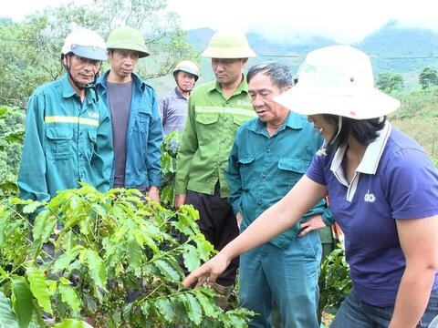 Tạo động lực bứt phá từ phát triển nông nghiệp hàng hóa của xã Chiềng Sinh