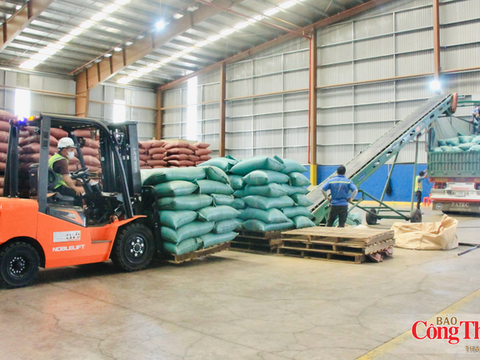Gia Lai nâng giá trị ngành hàng xuất khẩu chủ lực