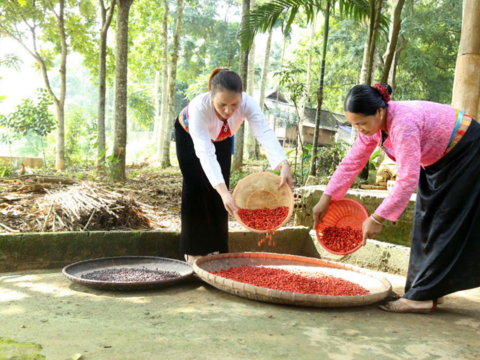 Hiệu quả tín dụng chính sách nhìn từ những mô hình sinh kế ở Lạc Sơn