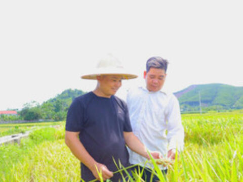 Từ vốn vay đến những mô hình sinh kế hiệu quả ở Yên Sơn