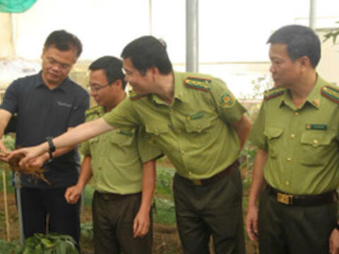 Khu bảo tồn thiên nhiên Mường La phát triển cây dược liệu dưới tán rừng