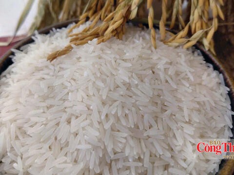 Gạo Việt Nam: Không thể chỉ cạnh tranh bằng giá