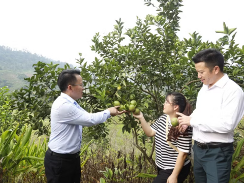 Thanh Hóa đổi thay diện mạo vùng khó khăn nhờ giảm nghèo bền vững