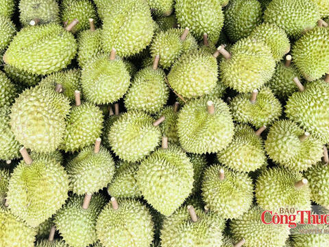 Xuất khẩu nông, lâm, thủy sản: Đà tăng từ rau quả, thủy sản