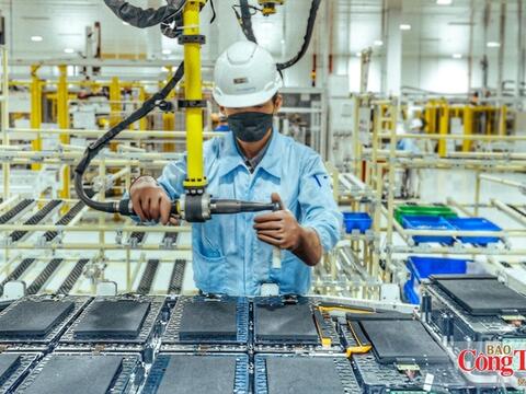 CPTPP: 'Điểm nối' để hàng Việt đi sâu vào thị trường Mỹ Latinh