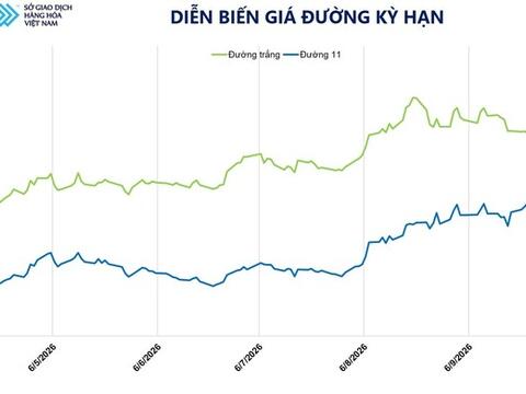 Giá đường tăng phiên thứ tư liên tiếp, lập đỉnh 19 tháng