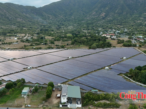 Phát triển điện mặt trời trong nông nghiệp: Bài học từ châu Âu