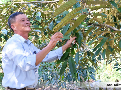 Đà Nẵng: Đảng viên tiên phong đưa Chương trình mục tiêu quốc gia vào thực tiễn